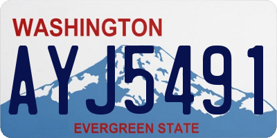 WA license plate AYJ5491