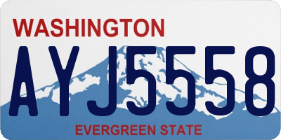 WA license plate AYJ5558