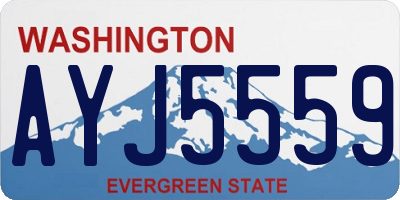 WA license plate AYJ5559