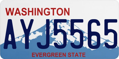 WA license plate AYJ5565