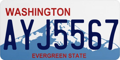 WA license plate AYJ5567