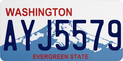 WA license plate AYJ5579
