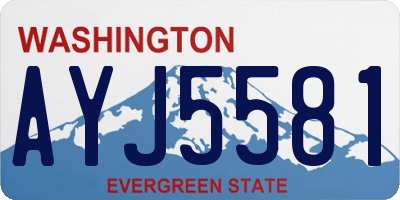 WA license plate AYJ5581