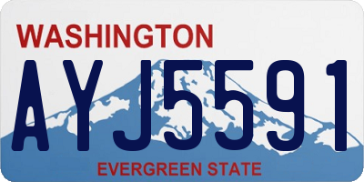 WA license plate AYJ5591