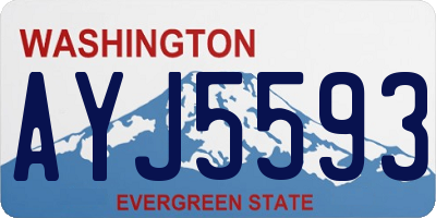 WA license plate AYJ5593