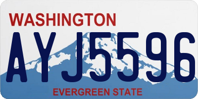 WA license plate AYJ5596