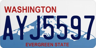 WA license plate AYJ5597