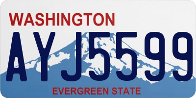 WA license plate AYJ5599