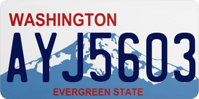 WA license plate AYJ5603