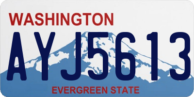 WA license plate AYJ5613