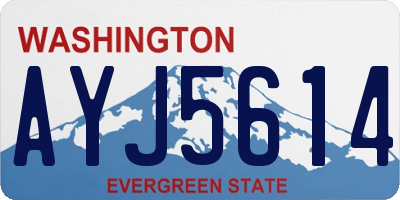 WA license plate AYJ5614