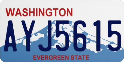 WA license plate AYJ5615