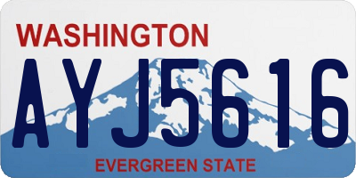 WA license plate AYJ5616