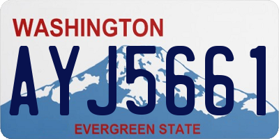WA license plate AYJ5661