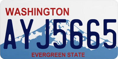 WA license plate AYJ5665