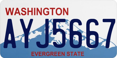 WA license plate AYJ5667