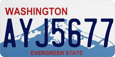 WA license plate AYJ5677