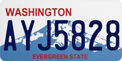 WA license plate AYJ5828