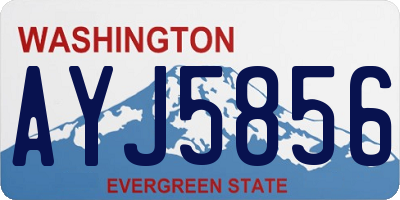 WA license plate AYJ5856