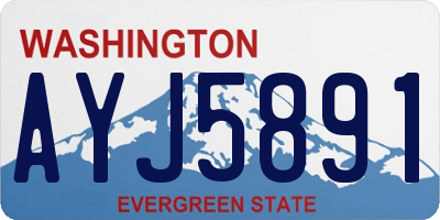 WA license plate AYJ5891