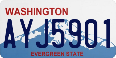 WA license plate AYJ5901