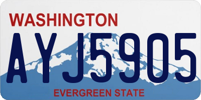 WA license plate AYJ5905