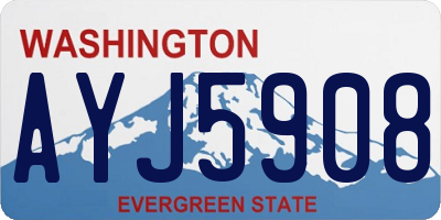 WA license plate AYJ5908