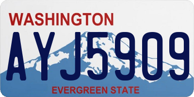 WA license plate AYJ5909