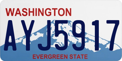 WA license plate AYJ5917