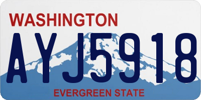 WA license plate AYJ5918