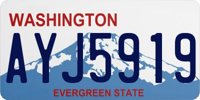 WA license plate AYJ5919