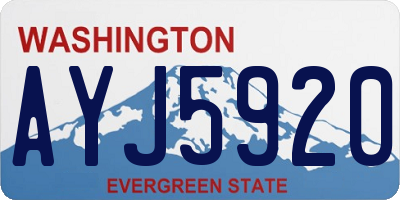 WA license plate AYJ5920