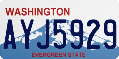 WA license plate AYJ5929