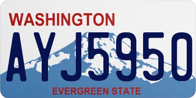 WA license plate AYJ5950