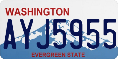 WA license plate AYJ5955