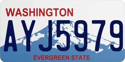 WA license plate AYJ5979