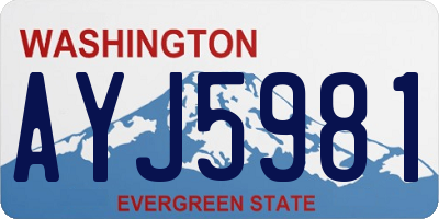 WA license plate AYJ5981