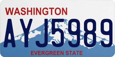 WA license plate AYJ5989