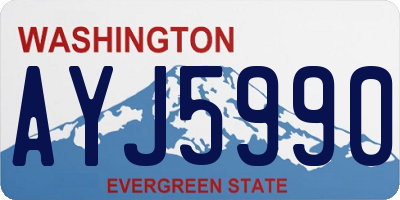WA license plate AYJ5990