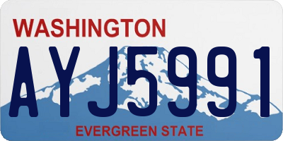 WA license plate AYJ5991