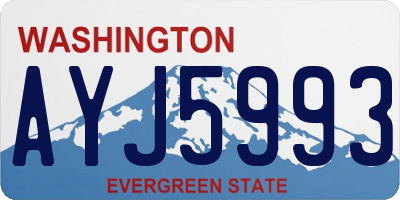 WA license plate AYJ5993