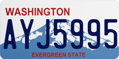 WA license plate AYJ5995