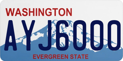 WA license plate AYJ6000