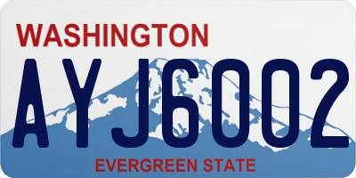 WA license plate AYJ6002