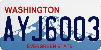 WA license plate AYJ6003
