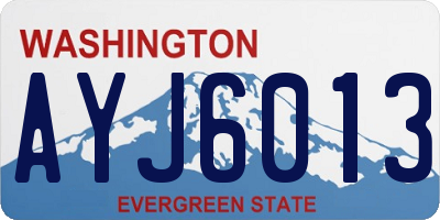 WA license plate AYJ6013