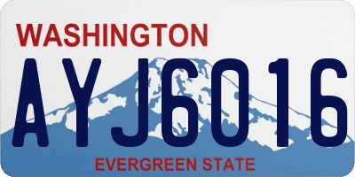 WA license plate AYJ6016