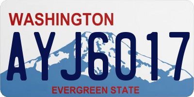 WA license plate AYJ6017
