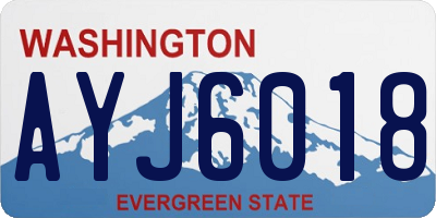 WA license plate AYJ6018