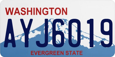 WA license plate AYJ6019